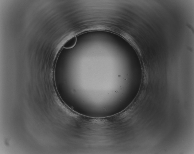 X0000102020805200807181325