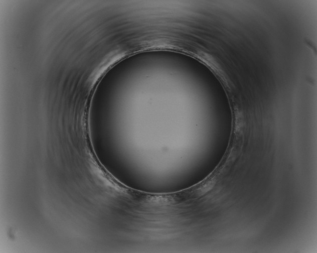X0000102020806200807181325