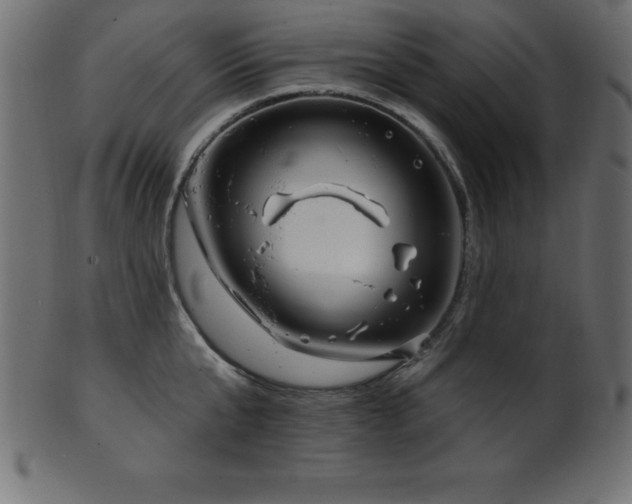 X0000102020807200807181325