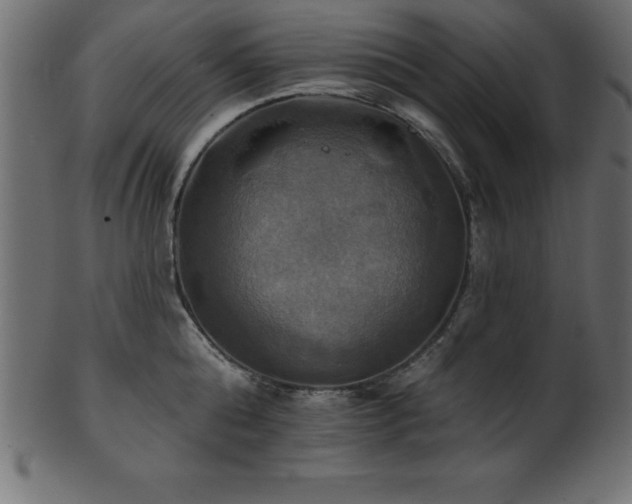 X0000102020808200807181325
