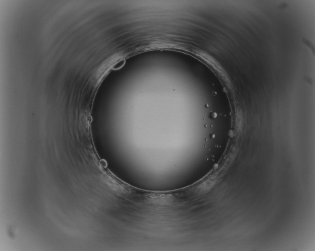 X0000102020809200807181325
