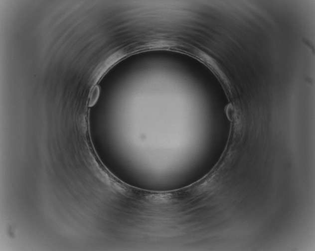 X0000102020810200807181325