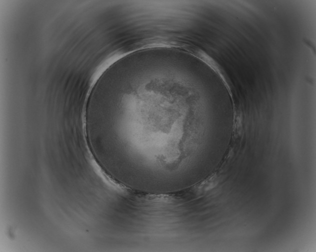 X0000102020811200807181325