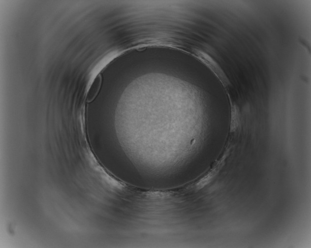X0000102020812200807181325