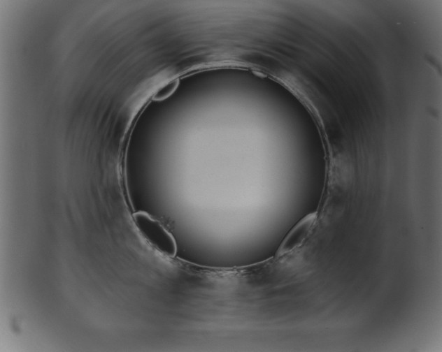 X0000102020813200807181325