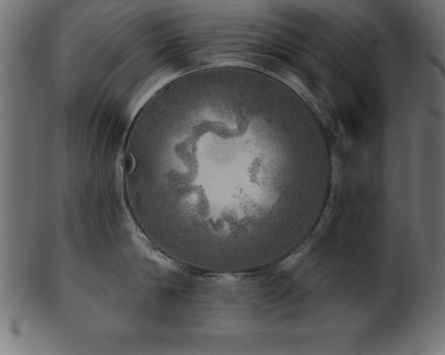 X0000102020814200807181325
