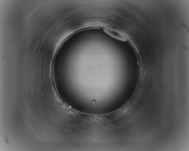 X0000102020815200807181325