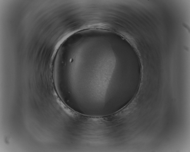 X0000102020816200807181325