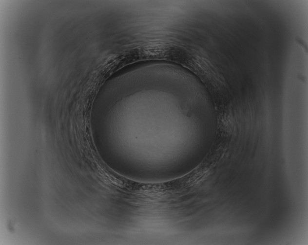 X0000102020817200807181324