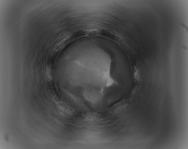 X0000102020819200807181324