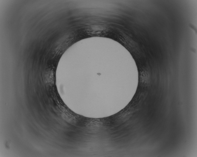 X0000102020820200807181324