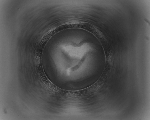 X0000102020821200807181324