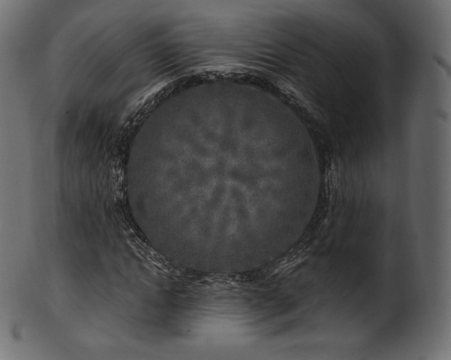 X0000102020822200807181324