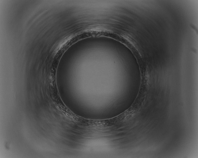 X0000102020823200807181324