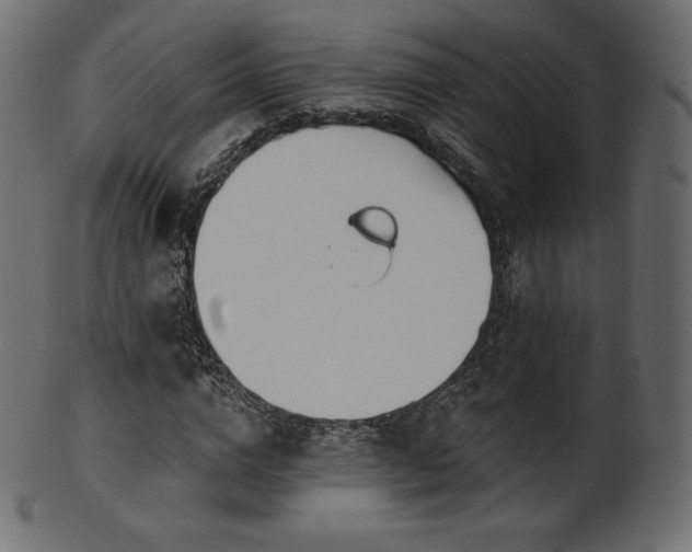X0000102020824200807181324