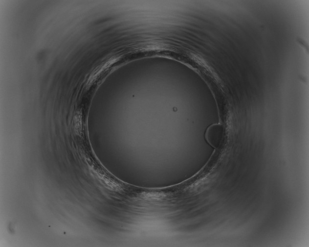 X0000102020825200807181324