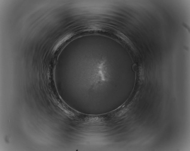 X0000102020826200807181324