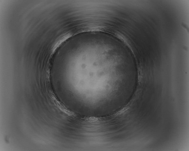 X0000102020827200807181324