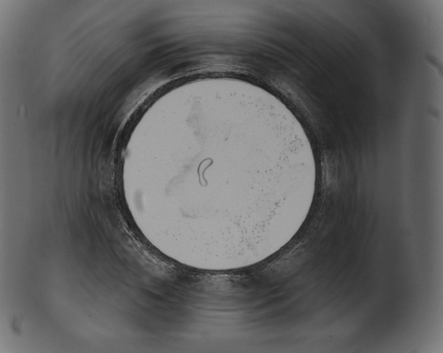 X0000102020828200807181324