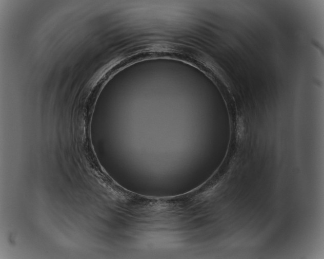 X0000102020829200807181324