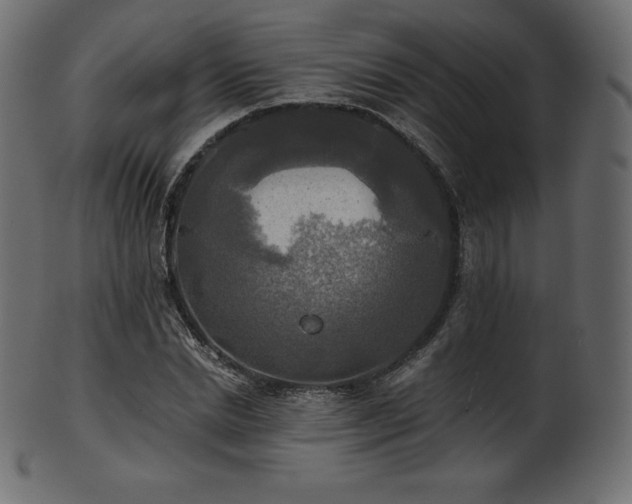 X0000102020830200807181324