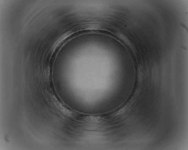 X0000102020831200807181324