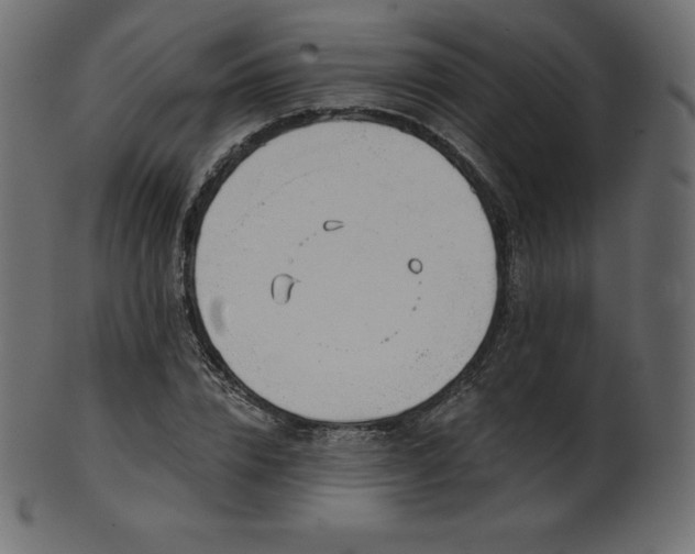 X0000102020832200807181324
