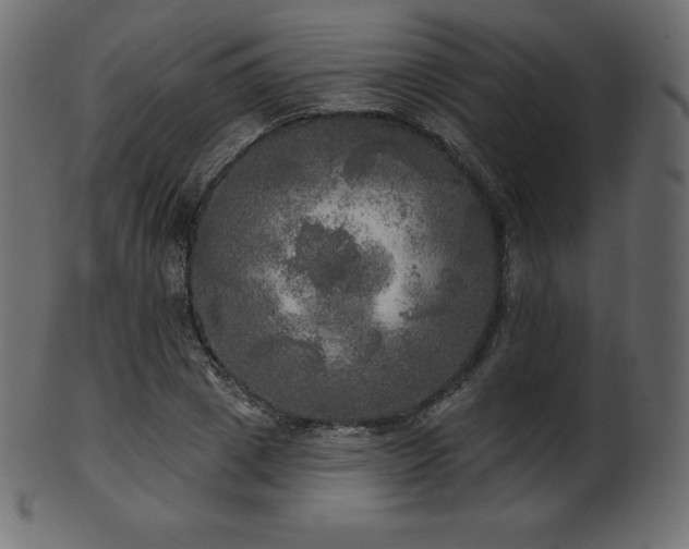 X0000102020833200807181324