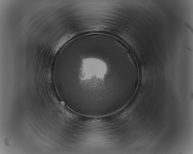 X0000102020834200807181324