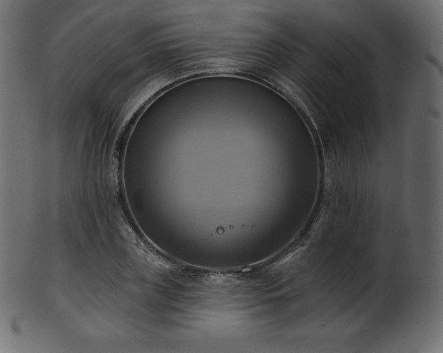 X0000102020835200807181324