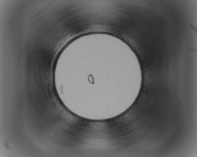 X0000102020836200807181324