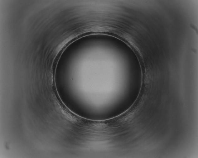 X0000102020837200807181324
