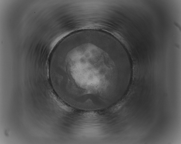 X0000102020838200807181324