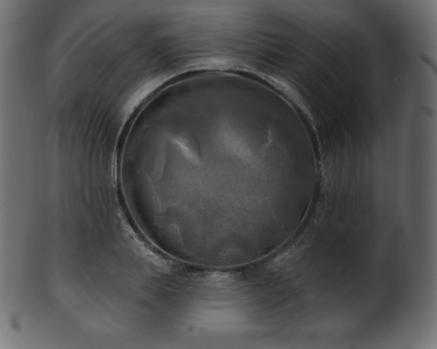X0000102020839200807181325