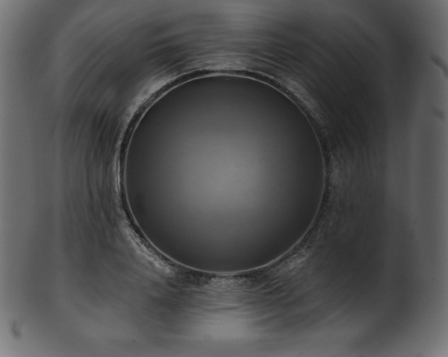 X0000102020840200807181325