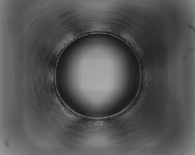 X0000102020841200807181325