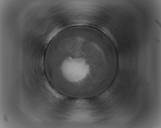 X0000102020842200807181325