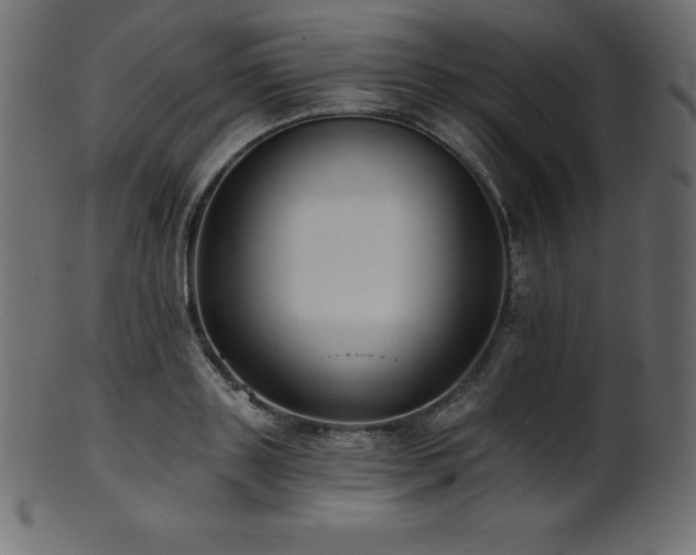 X0000102020843200807181325