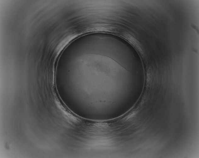 X0000102020844200807181325