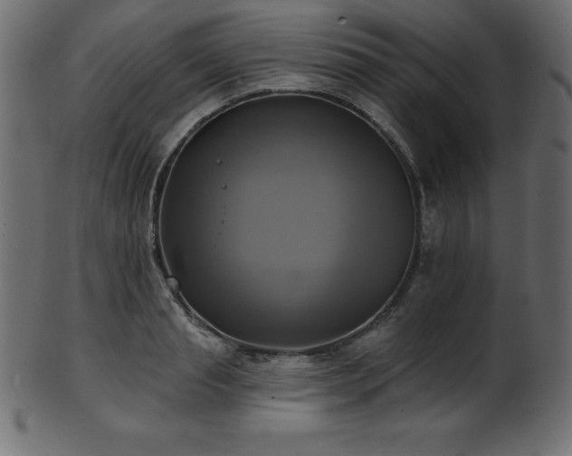 X0000102020845200807181325