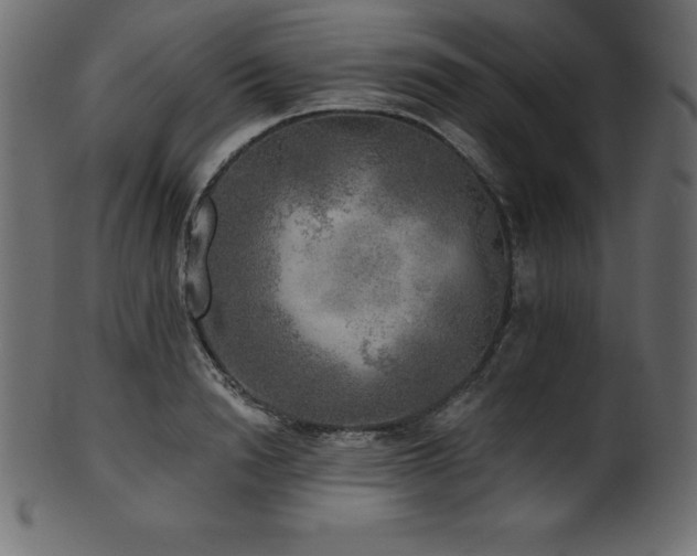 X0000102020846200807181325