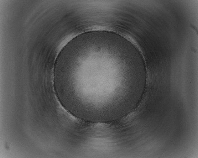 X0000102020847200807181325