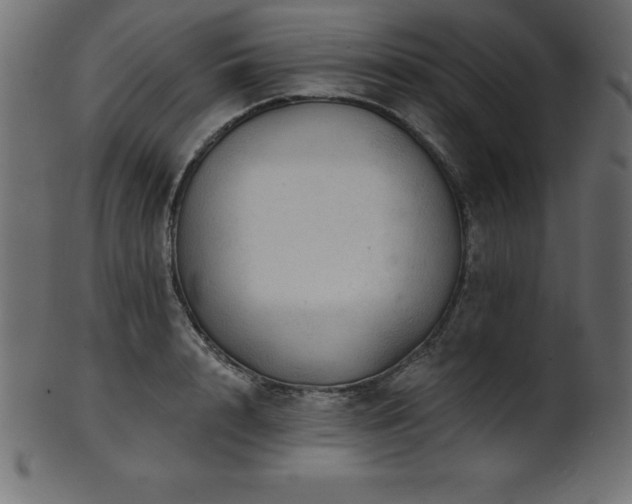 X0000102020848200807181325