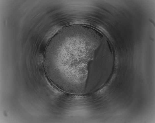X0000102020849200807181325