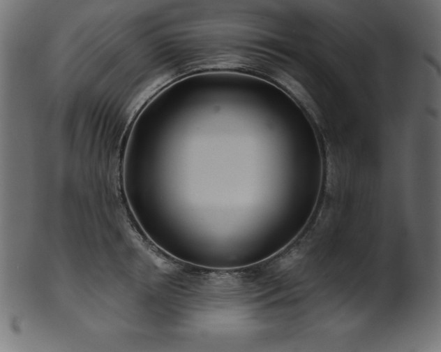 X0000102020850200807181325