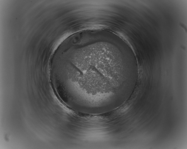 X0000102020851200807181325