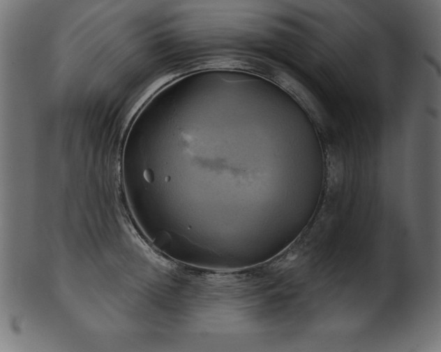 X0000102020852200807181325