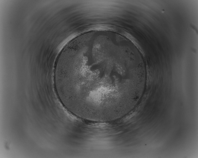 X0000102020853200807181325