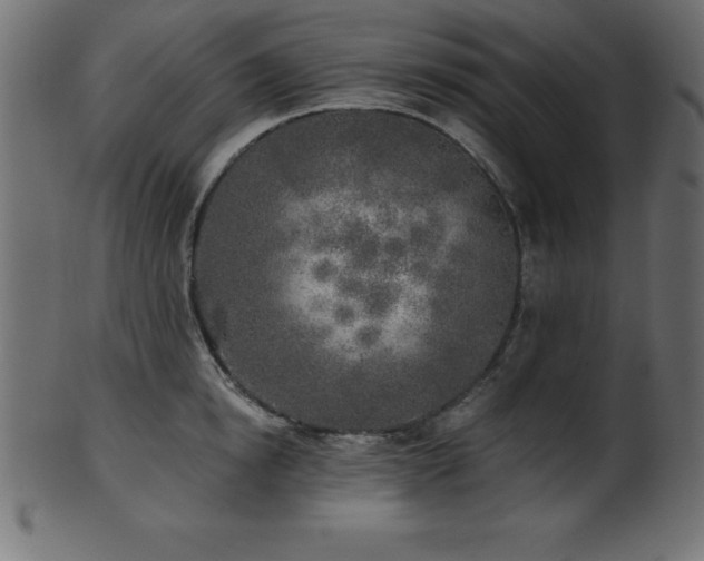 X0000102020854200807181325