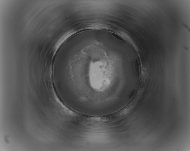 X0000102020855200807181325
